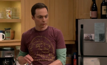 Теория большого взрыва 11 сезон 22 серия в Кураж-Бомбей