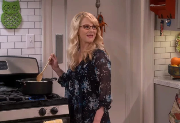 Кадры из сериала Теория большого взрыва 12 сезон