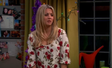 Теория большого взрыва 6 сезон 11 серия в Кураж-Бомбей