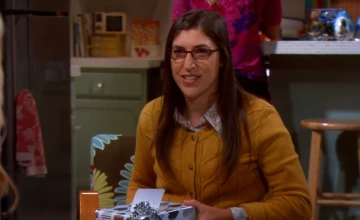 Теория большого взрыва 6 сезон 2 серия в Кураж-Бомбей